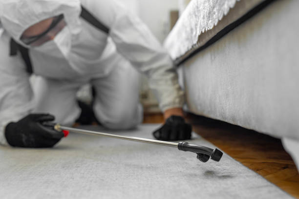 Professional Cockroach Control technician working in Marathon County County, WI